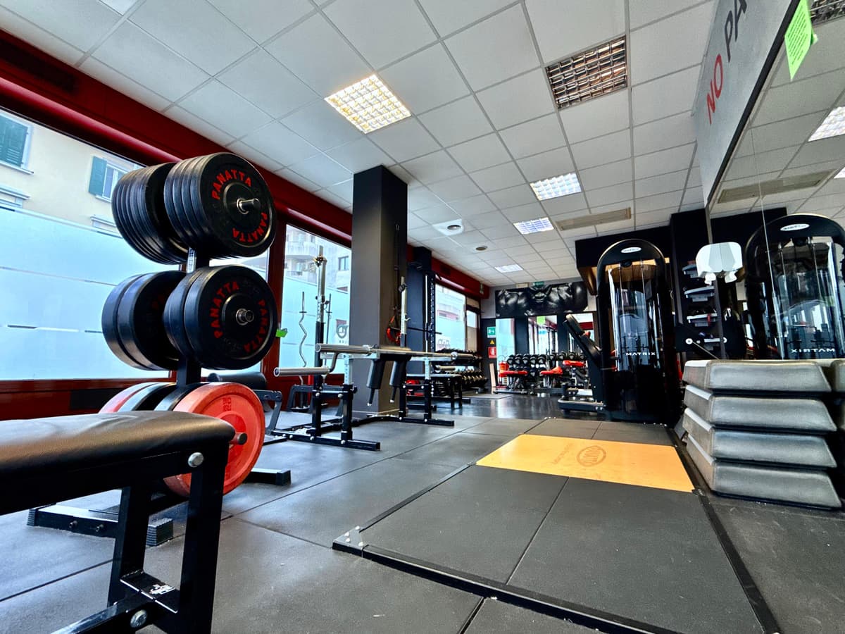 Zona powerlifting e forza libera